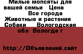 Милые мопсяты для вашей семьи › Цена ­ 20 000 - Все города Животные и растения » Собаки   . Вологодская обл.,Вологда г.